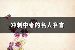 冲刺中考的名人名言(必备35句)