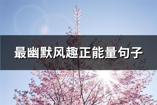 最幽默风趣正能量句子(热门193句)