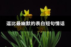 逗比最幽默的表白短句情话(汇总104句)
