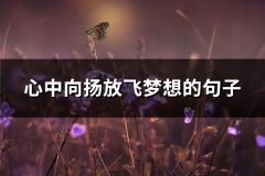 心中向扬放飞梦想的句子(汇总61句)
