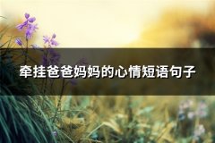 牵挂爸爸妈妈的心情短语句子(精选62句)