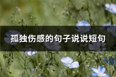 孤独伤感的句子说说短句(精选63句)