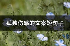 孤独伤感的文案短句子(汇总73句)