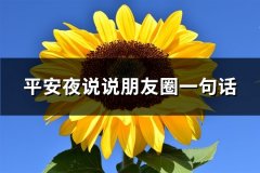 平安夜说说朋友圈一句话(共118句)