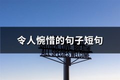 令人惋惜的句子短句(实用62句)