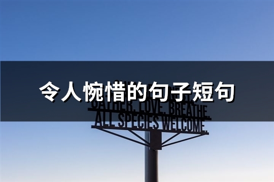令人惋惜的句子短句(实用62句)
