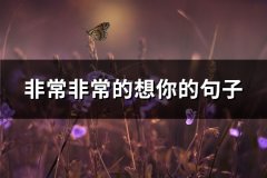 非常非常的想你的句子(共67句)