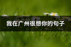 我在广州很想你的句子(通用81句)