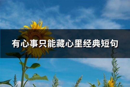 有心事只能藏心里经典短句(74句)