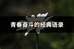 青春奋斗的经典语录(58句)