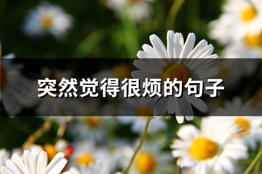 突然觉得很烦的句子(汇总241句)