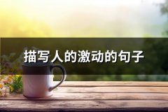 描写人的激动的句子(汇总26句)