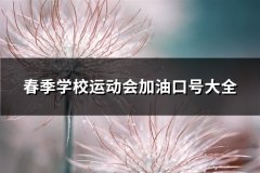 春季学校运动会加油口号大全(实用53句)