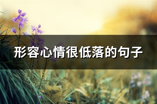 形容心情很低落的句子(精选62句)