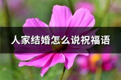 人家结婚怎么说祝福语(推荐63句)