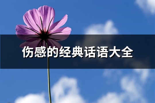 伤感的经典话语大全(378句)