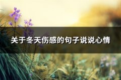 关于冬天伤感的句子说说心情(实用67句)