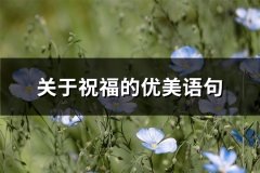 关于祝福的优美语句(精选79句)