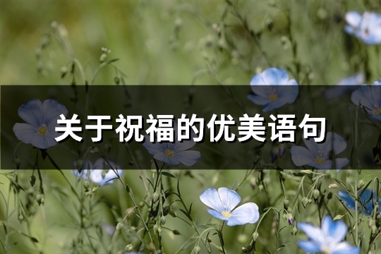 关于祝福的优美语句(精选79句) 关于祝福的优美词语