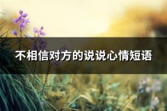 不相信对方的说说心情短语(共72句)