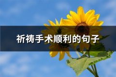 祈祷手术顺利的句子(通用47句)