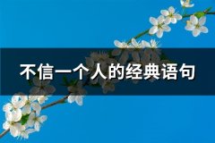 不信一个人的经典语句(热门40句)