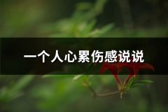 一个人心累伤感说说(汇总53句)