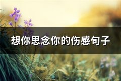 想你思念你的伤感句子(实用65句)