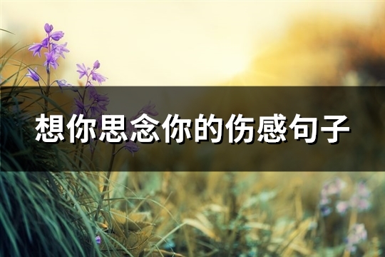 想你思念你的伤感句子(实用65句)