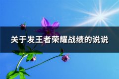 关于发王者荣耀战绩的说说(精选62句)