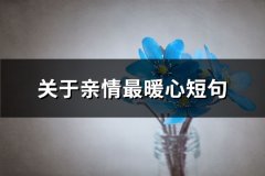 关于亲情最暖心短句(精选76句)