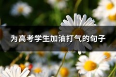 为高考学生加油打气的句子(优选84句)