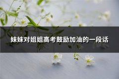 妹妹对姐姐高考鼓励加油的一段话(推荐71句)