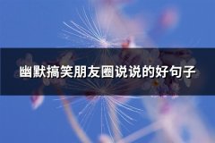 幽默搞笑朋友圈说说的好句子(必备115句)