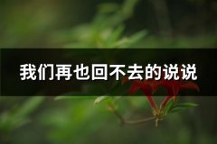 我们再也回不去的说说(精选75句)
