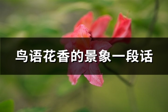 鸟语花香的景象一段话(汇总67句)