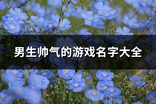 男生帅气的游戏名字大全(共278个)(男生帅气的游戏头像)