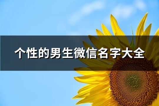 个性的男生微信名字大全(531个) 个性的男生微信名称