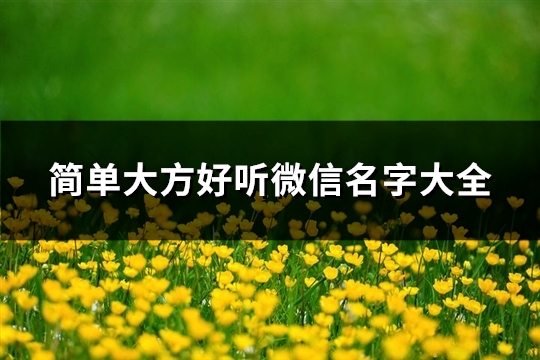 简单大方好听微信名字大全(精选328个)(简单大方好听微信名字女)
