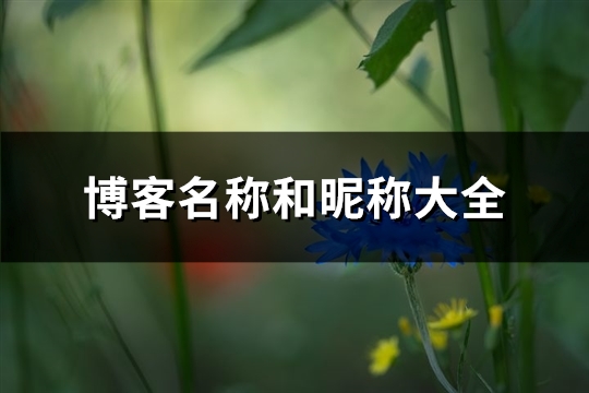 博客名称和昵称大全(共586个)(好听的博客名称及昵称)