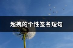 超拽的个性签名短句(必备60句)
