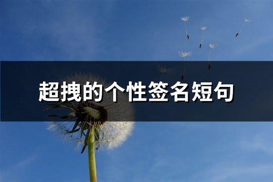 超拽的个性签名短句(必备60句)