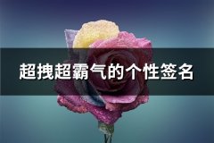 超拽超霸气的个性签名(优选114句)