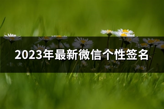 2023年最新微信个性签名(推荐146句)