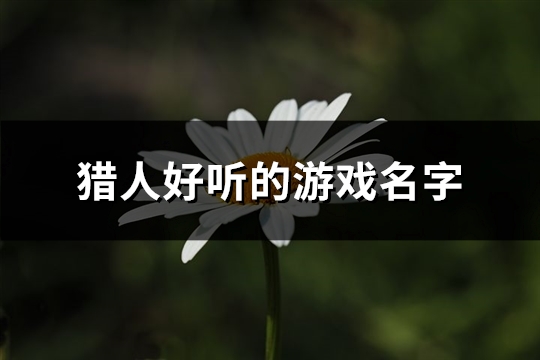 猎人好听的游戏名字(优选381个)(猎人好听的游戏名字)