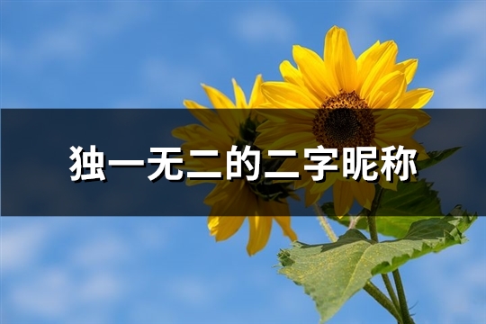 独一无二的二字昵称(精选728个)