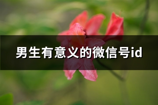 男生有意义的微信号id(优选228个)(有意思的男生微信名称)（有意义的男生微信名字）