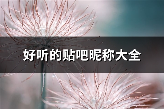 好听的贴吧昵称大全(112个)(简单好听的贴吧id名男)