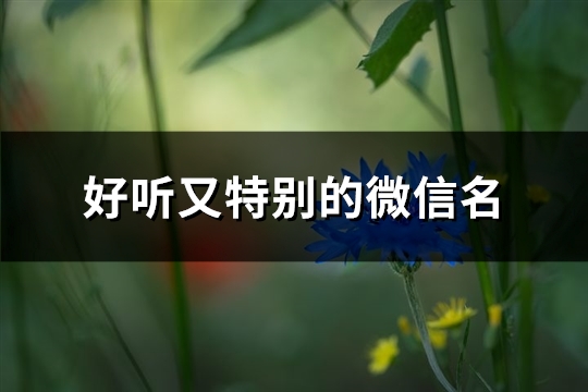 好听又特别的微信名(309个) 好听又特别的微信群名字