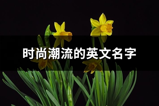 时尚潮流的英文名字(共65个)